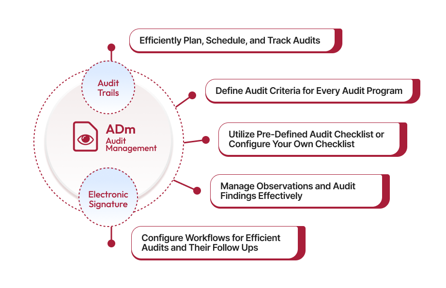 Best Audit Management System